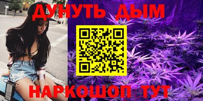стаф Моздок
