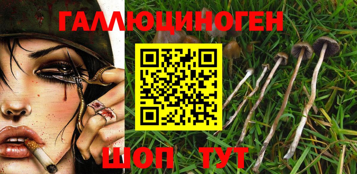 Верхняя Пышма  где купить наркотик  Вход с VPN  Псилоцибиновые грибы ЛСД  Галлюциногенные грибы Psilocybe 